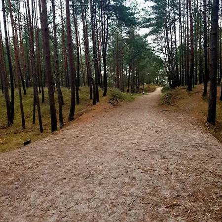 Sloneczna Przystan Samba Lägenhet Gdańsk