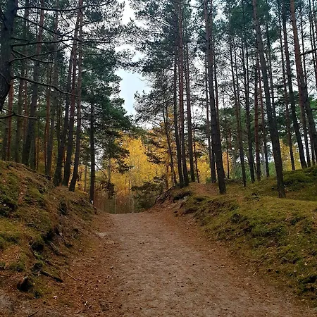 Sloneczna Przystan Samba * Gdańsk
