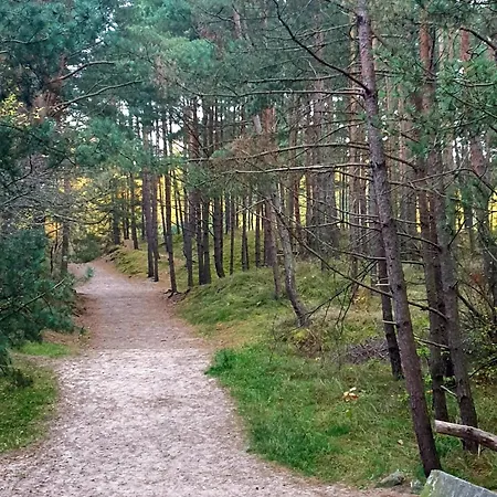 Sloneczna Przystan Samba Apartman Gdańsk