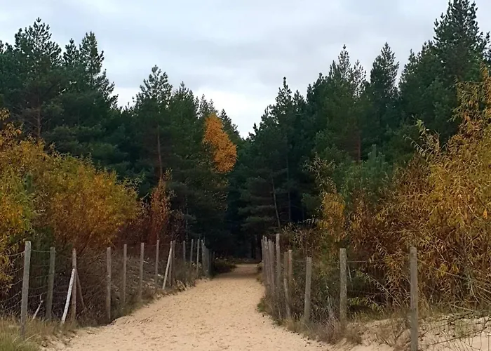 公寓 Sloneczna Przystan Samba *