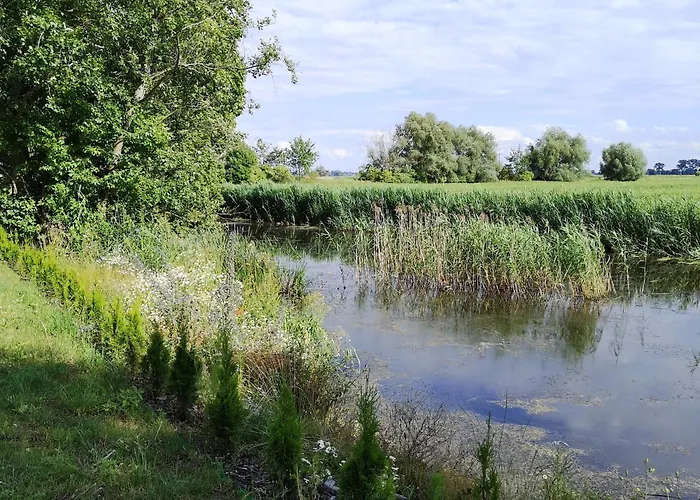 Sloneczna Przystan Samba Gdańsk