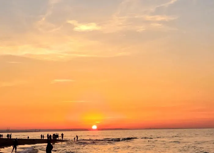 Słoneczna Przystań Samba *