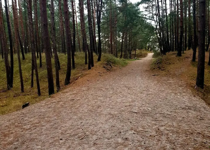 Słoneczna Przystań Samba Apartament Gdańsk