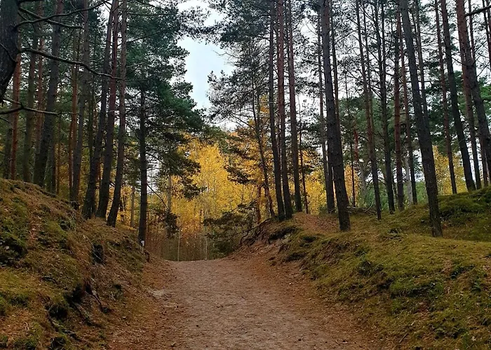 Słoneczna Przystań Samba * Gdańsk