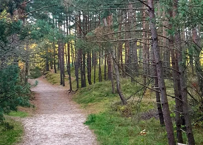 Słoneczna Przystań Samba Apartament Gdańsk